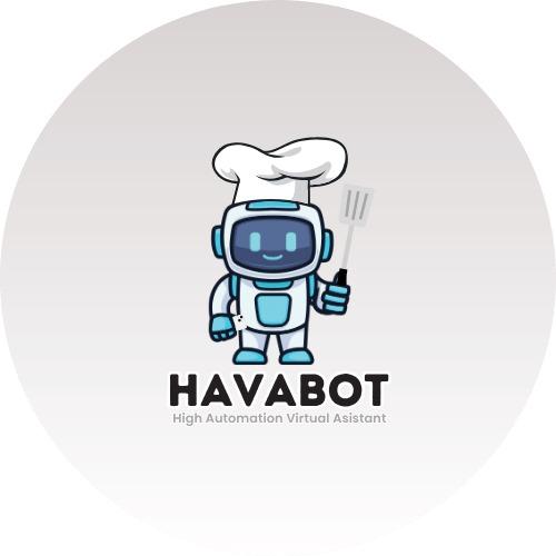 HavaBOT – High Automation Virtual Assistant